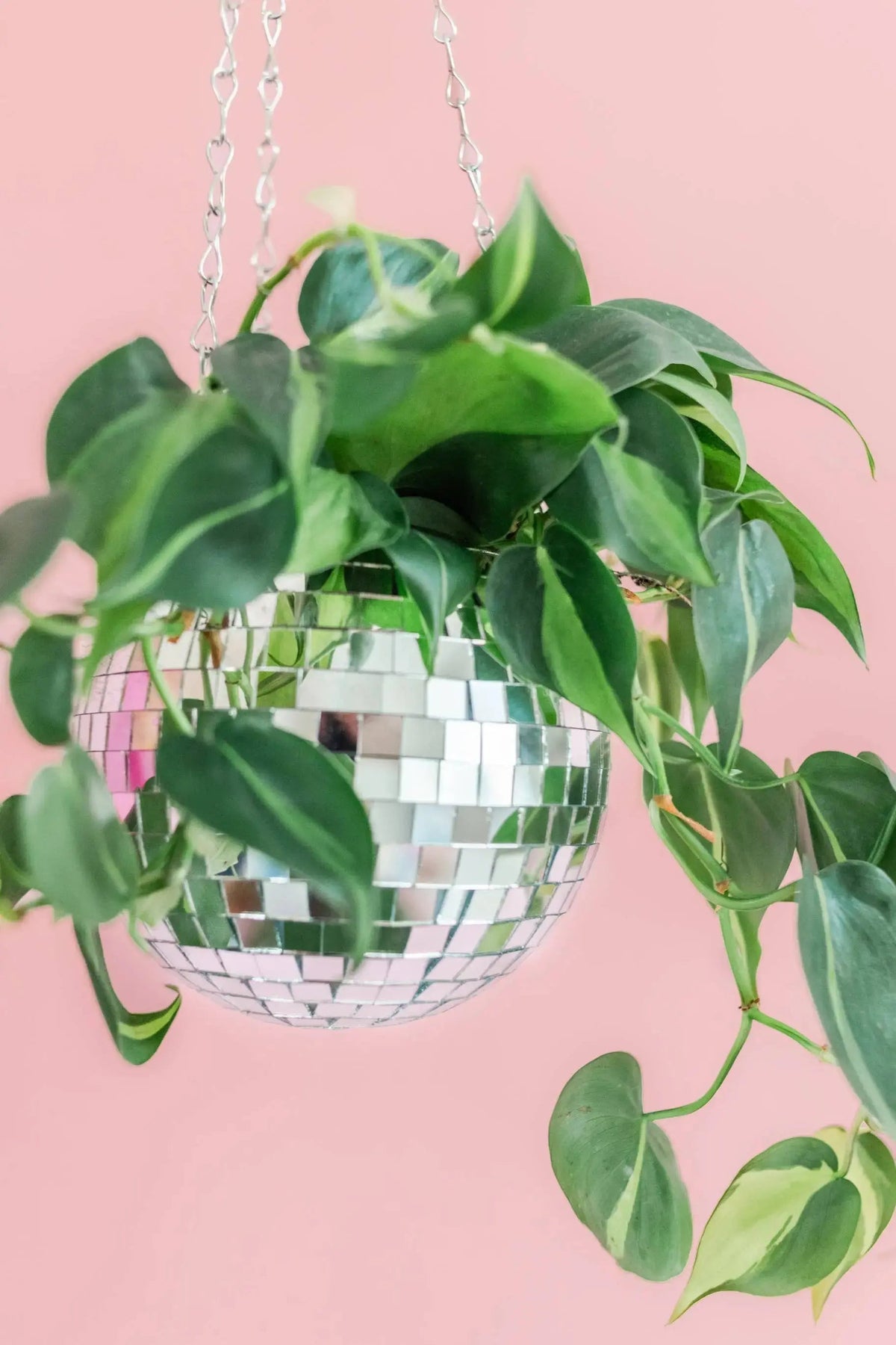 Disco Ball 6 Hanging Planter