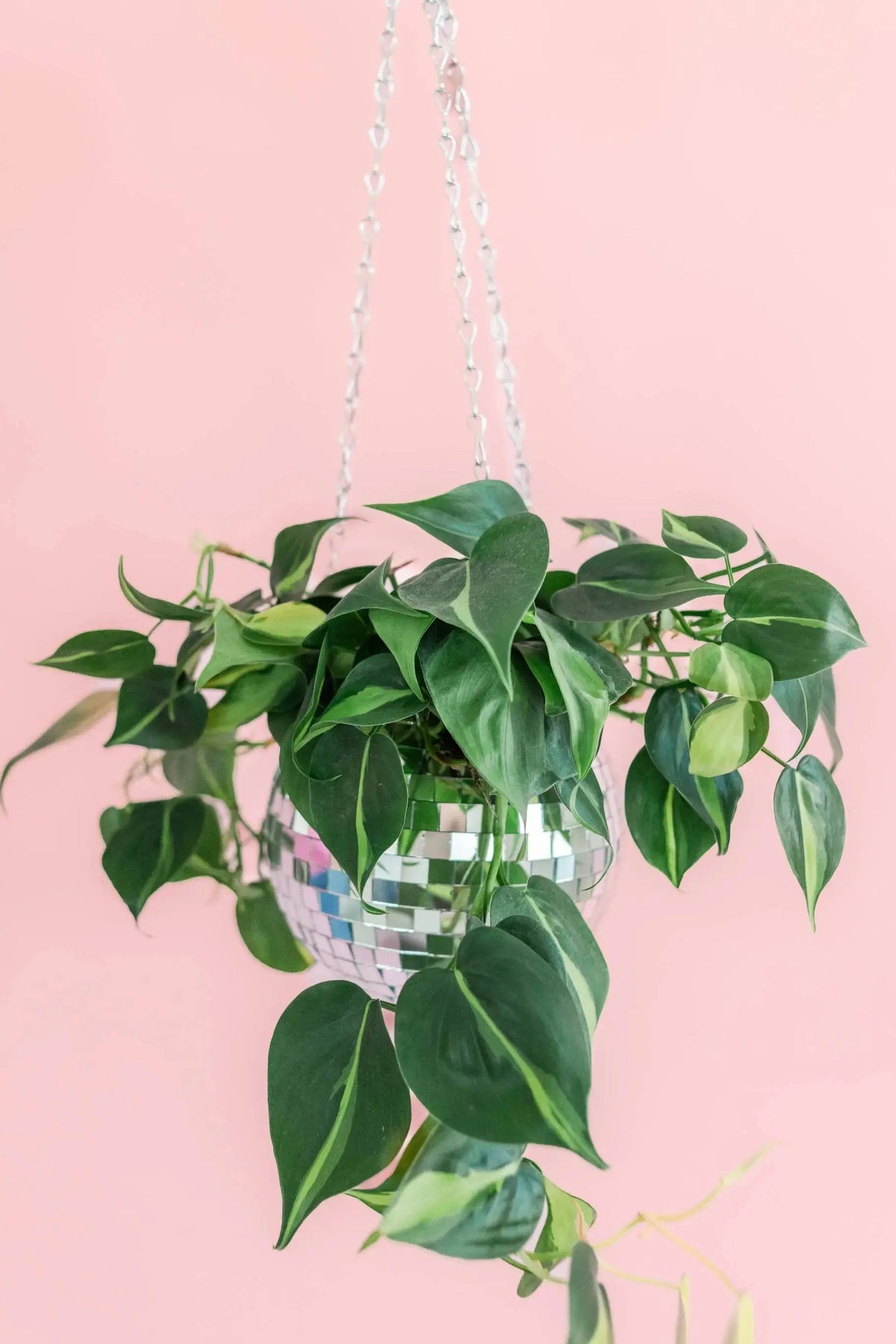 Disco Ball 6 Hanging Planter
