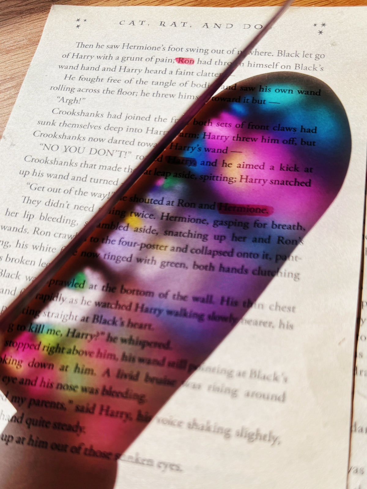 Pumpkin Patch Bookmark Set